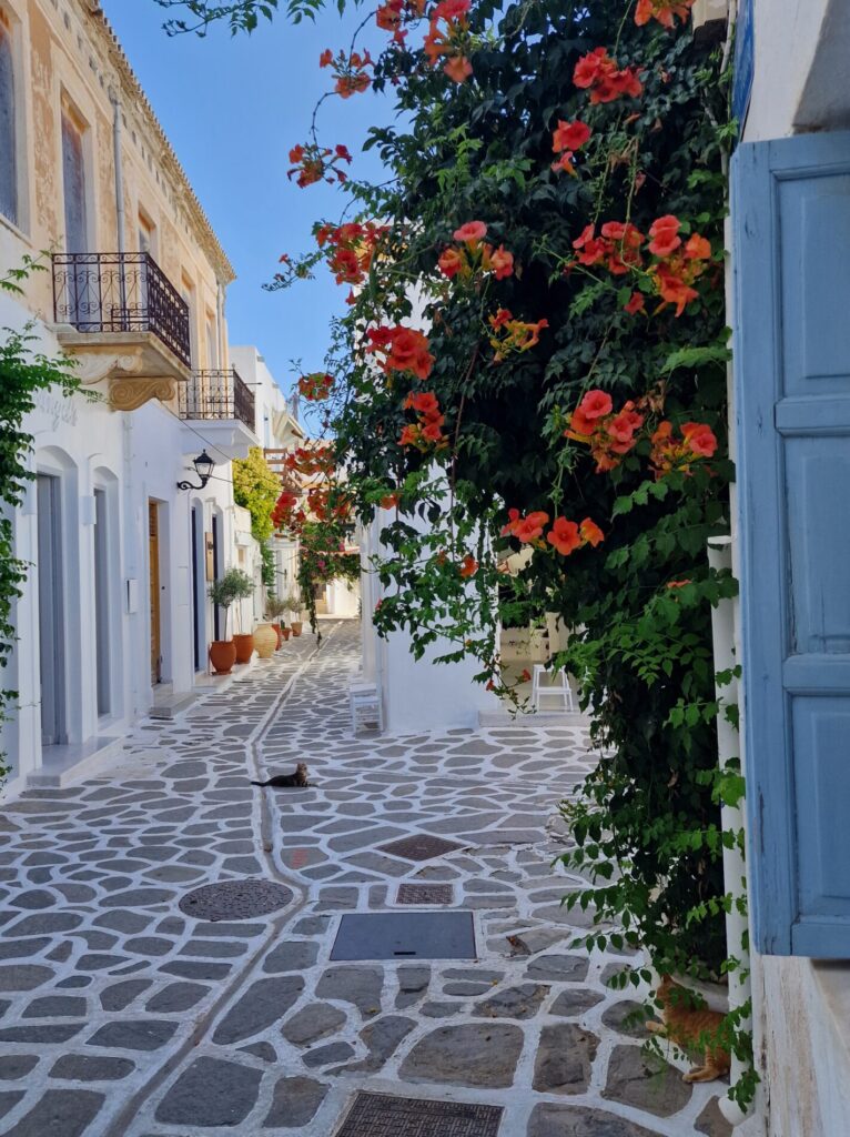 Mittelmeer - Griechenland - Paros - Straßenszene