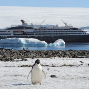 Ponant - L'Austral - Galerie 6